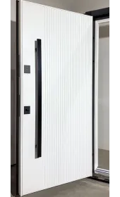 Дверь Агата Фанера в открытом положении