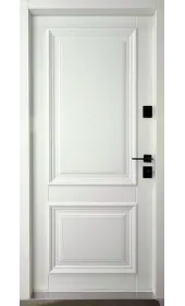 Общий вид двери Акцент Фанера с внутренней стороны