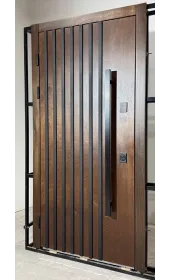 Загальний вигляд дверей Ензо Фанера