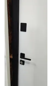 Дверні замки і ручка вигляд зсередини