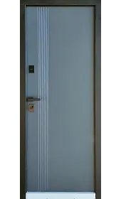 Загальний вигляд дверей Нокс з внутрішньої сторони