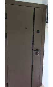 Общий вид двери Синдикат с наружной стороны