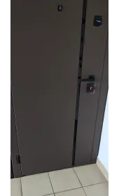 Загальний вигляд дверей Синдикат під кутом з зовнішньої сторони