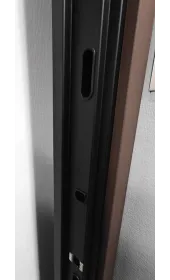 Дверной короб и ригельная зона двери Синдикат