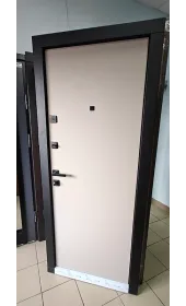 Общий вид двери Синдикат под углом изнутри в закрытом положении