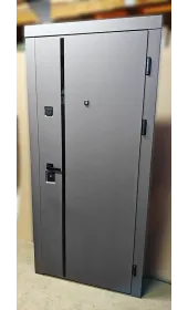 Общий вид двери Синдикат