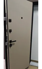 Загальний вигляд дверей Синдикат зсередини у відкритому положенні