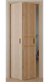 «Techno-67f-book-gold molding» цвет Дуб Сонома «Techno-67f-book-gold molding» цвет Дуб Сонома
