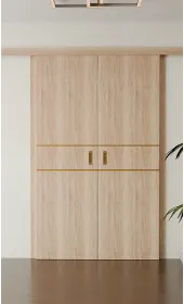 Міжкімнатні подвійні розсувні двері «Techno-67f-2-slider-gold molding»‎ Фаворит