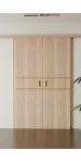 Межкомнатная двойная раздвижная дверь «Techno-67f-2-slider-gold molding» Фаворит