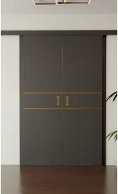 «Techno-67f-2-slider-gold molding» колір Венге Південне «Techno-67f-2-slider-gold molding» колір Венге Південне