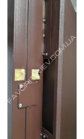 Вуличні двері Стілгард браун Вуличні двері Стілгард браун