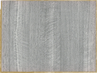 Ясен Сталевий